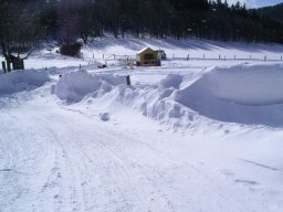 Rodeltag 2006